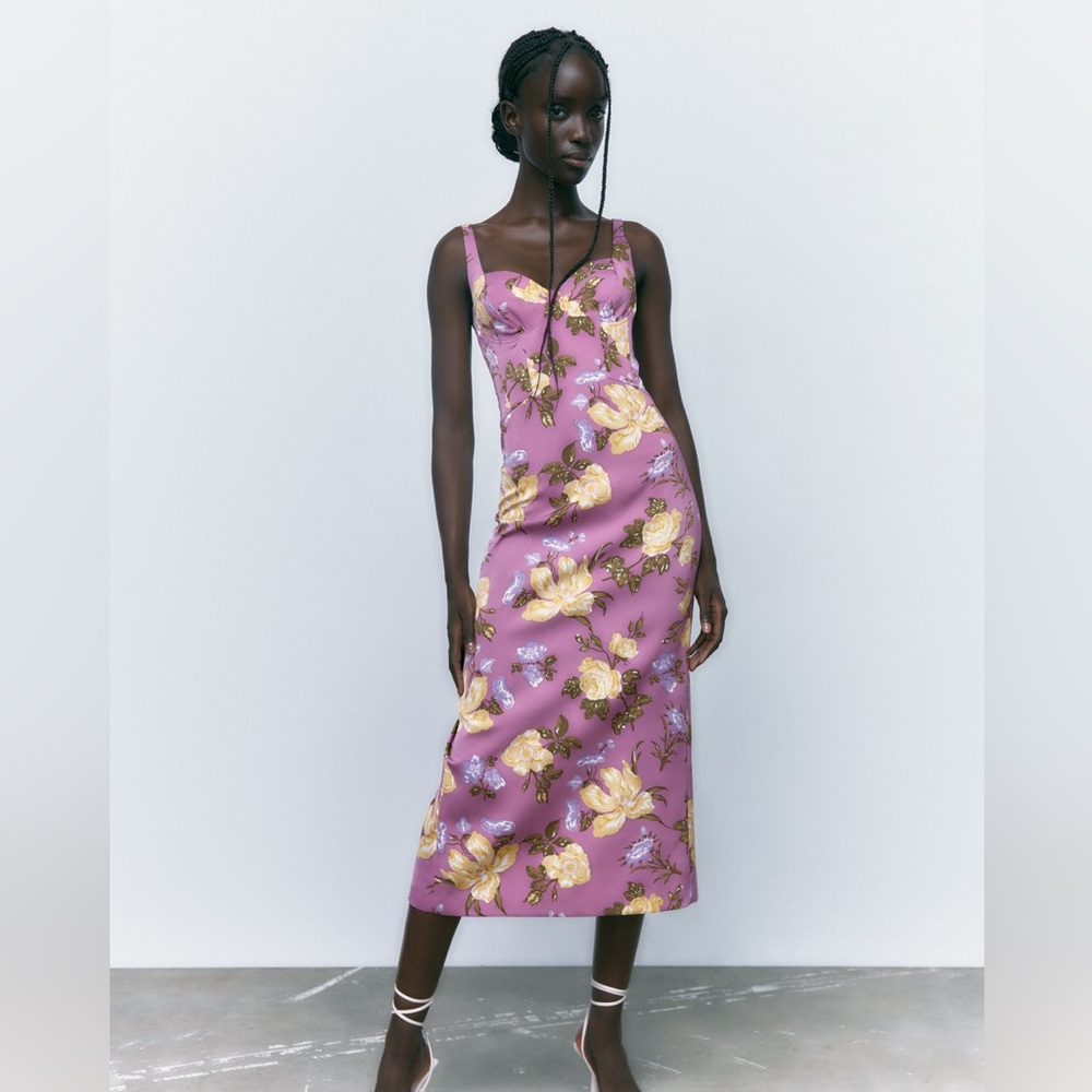 NWT Zara Floral Corset Dress